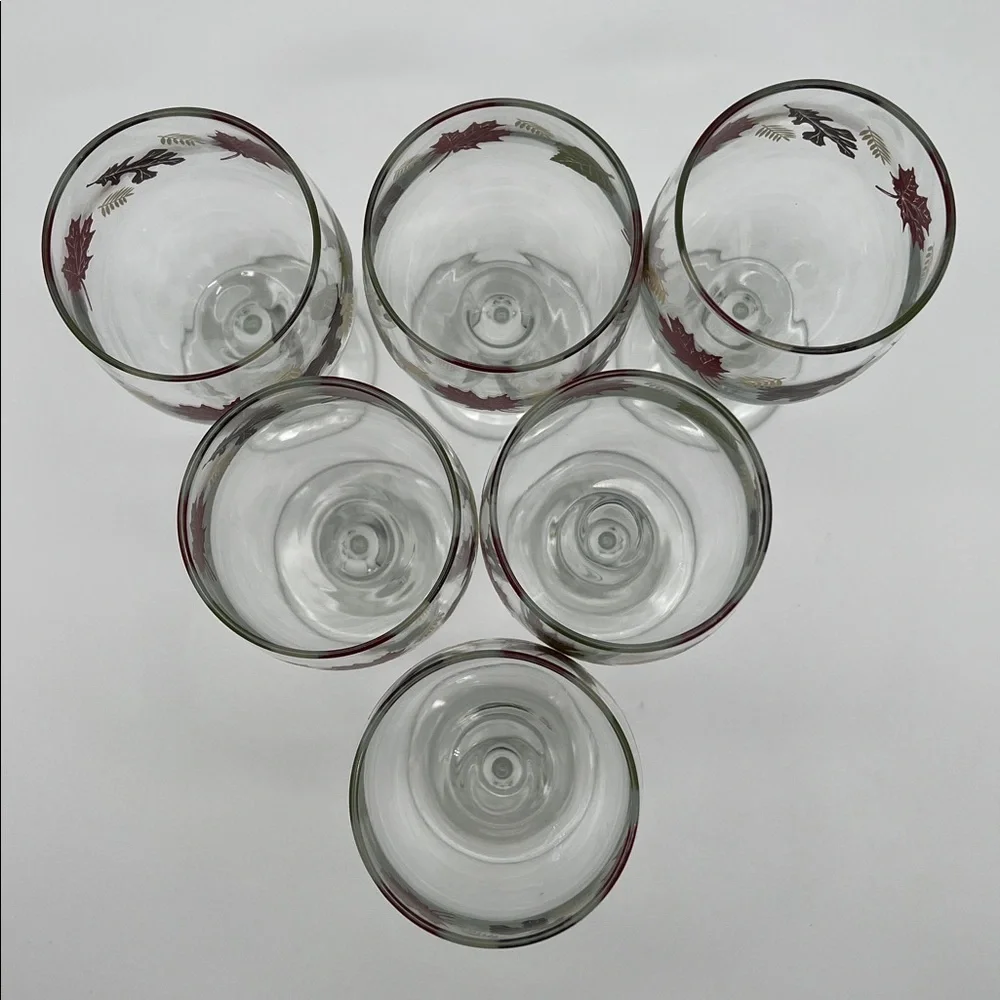 Vintage Libbey Fall Autumn Leaves Wine Glasses 10oz (Set of 6)